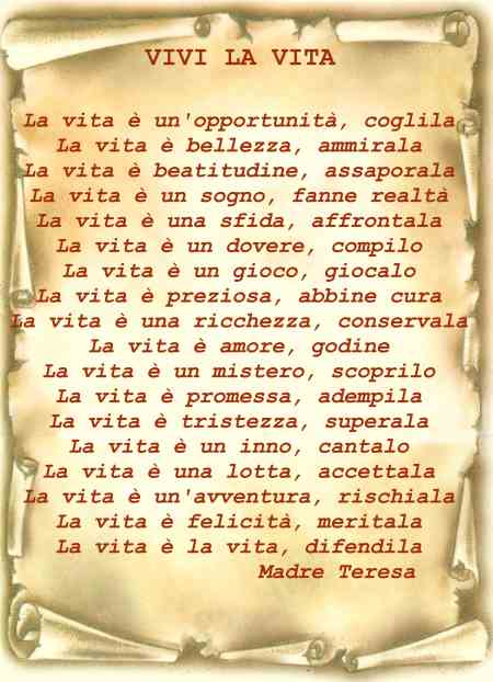 ViviVita_.jpg
