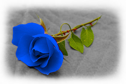 Una rosa blu x te...