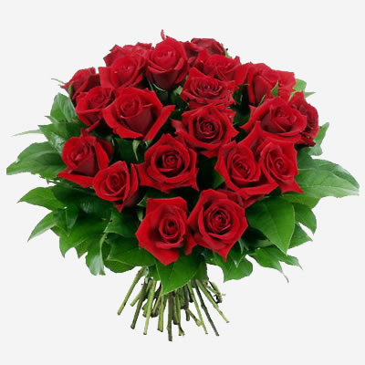 bouquet_rose_rosse_maxi_5.jpg
