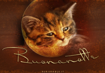 buonanotte_001.jpg