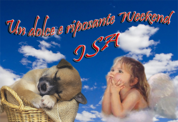 dolce%20rip%20weekend.jpg