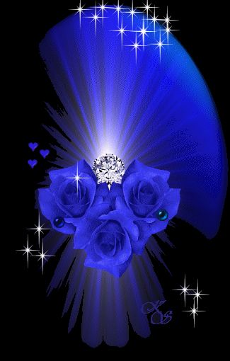 rosa%20blu.jpg